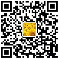 扫一扫 联系樱花草在线播放